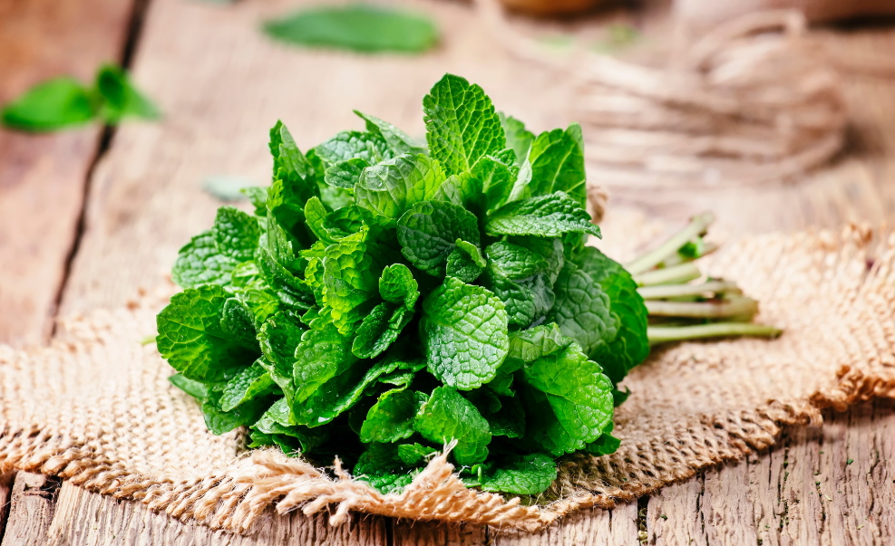 Điểm danh các loại thảo dược hỗ trợ quá trình bỏ thuốc lá