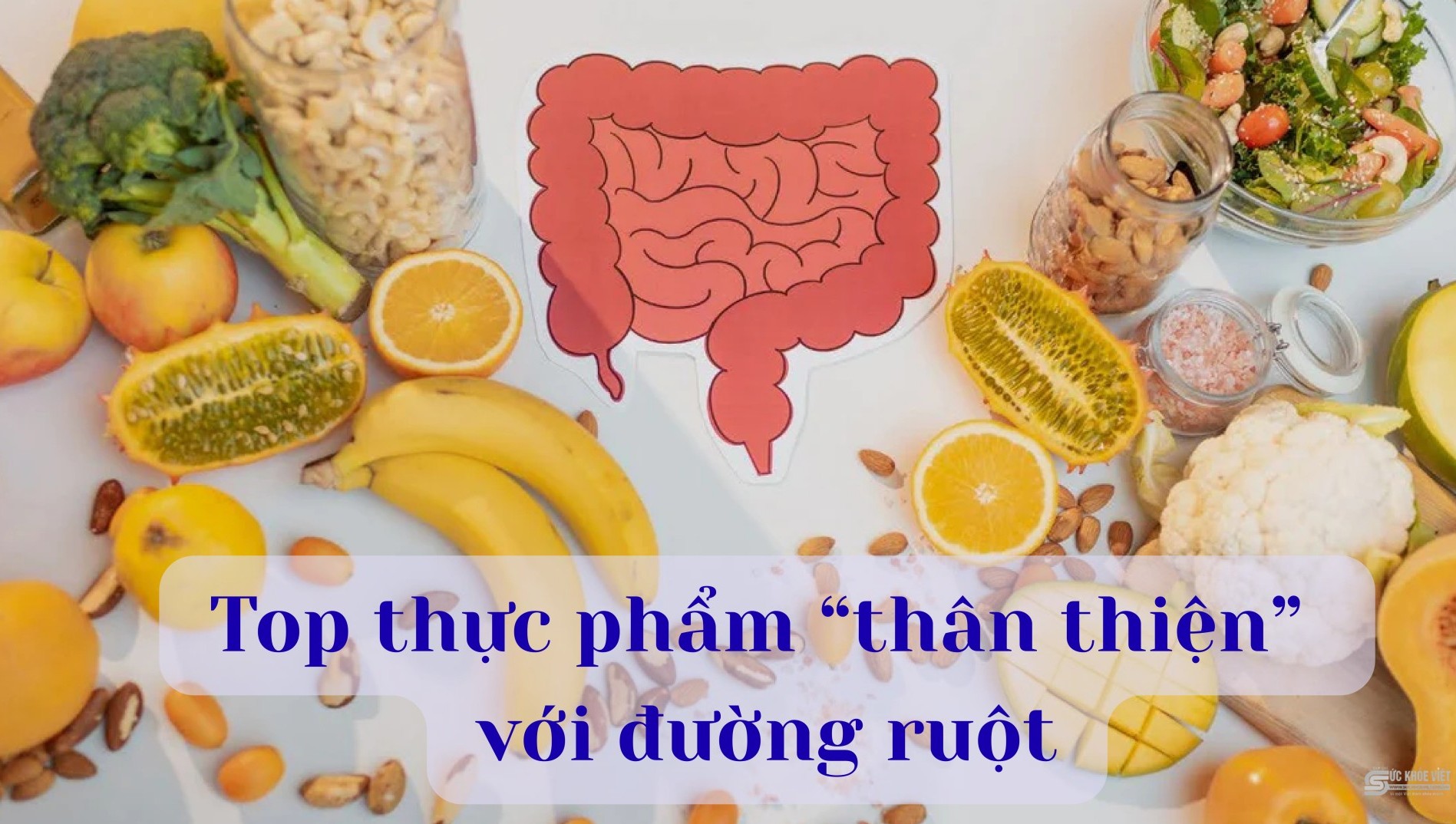 [E-Magazine] Top thực phẩm “thân thiện” với đường ruột