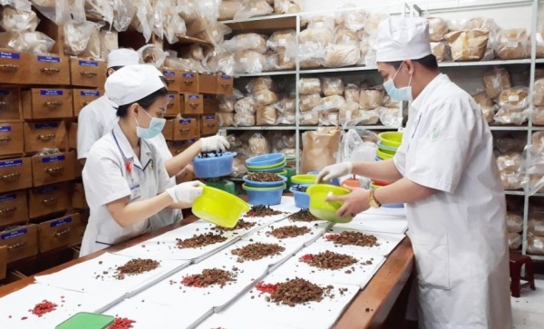 Bộ Y tế: Phân cấp 27 thủ tục hành chính lĩnh vực dược cho Cục Quản lý Y, Dược cổ truyền