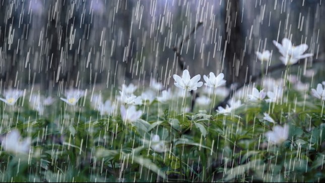 Dự báo thời tiết ngày 30/9/2025: Cả nước tiếp tục mưa to và dông