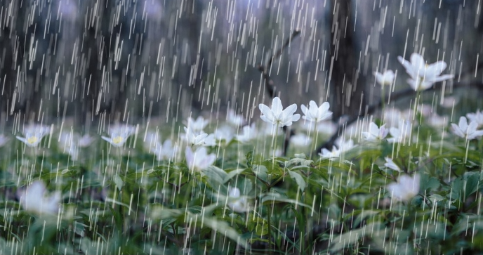 Dự báo thời tiết đêm nay và ngày mai 30/9: Hà Nội và các khu vực trên cả nước