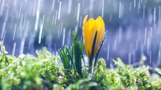 Dự báo thời tiết ngày 1/10/2025: Bắc Bộ mưa to và dông