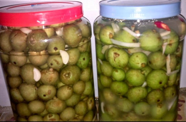 Nên thêm trái sung vào thực đơn mỗi ngày (có thể uống nước sắc từ lá sung, sung muối) để mang lại nhiều lợi ích cho sức khỏe. Nên thêm trái sung vào thực đơn mỗi ngày (có thể uống nước sắc từ lá sung, sung muối) để mang lại nhiều lợi ích cho sức khỏe.