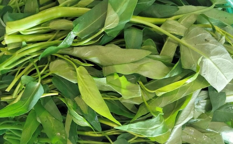 Rau muống Rau muống