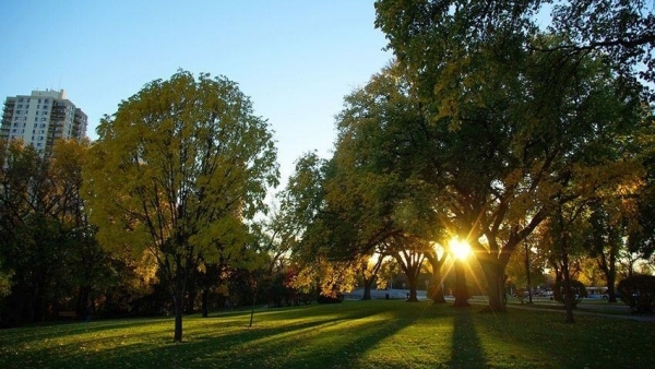 Dự báo thời tiết ngày 5/10/2025: Mưa rào và dông rải rác