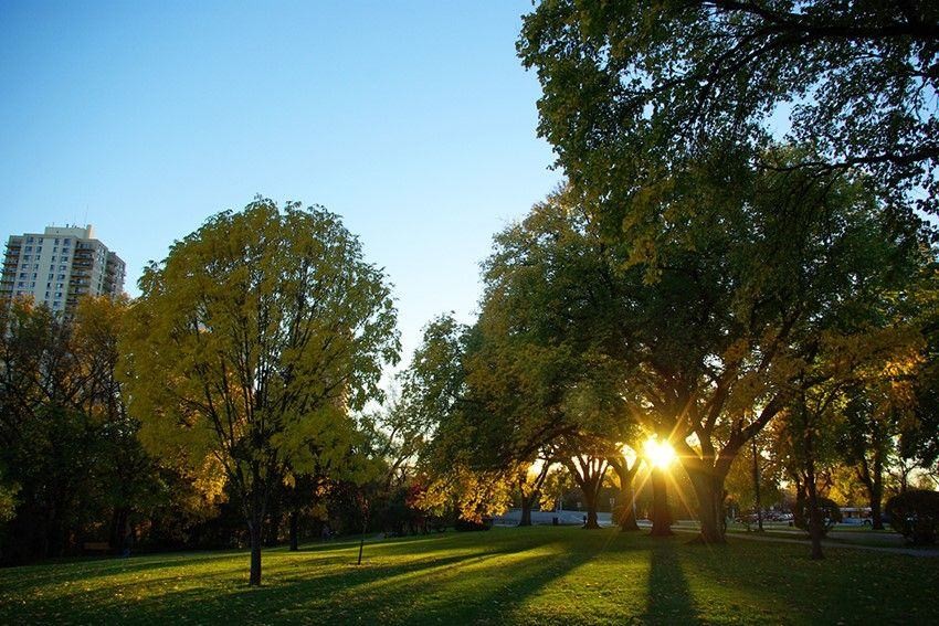 Dự báo thời tiết ngày 5/10/2025: Mưa rào và dông rải rác