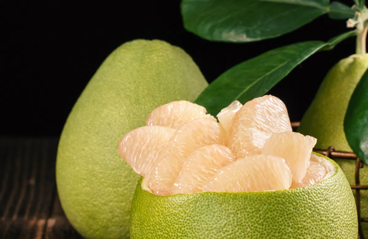 Bưởi – Thực phẩm vàng cho sức khỏe và sắc đẹp