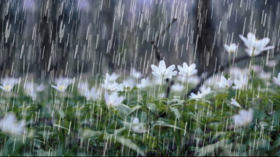 Dự báo thời tiết ngày 7/10/2025: Mưa to và dông