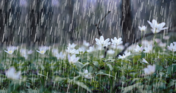 Dự báo thời tiết đêm nay và ngày mai 7/10: Hà Nội và các khu vực trên cả nước