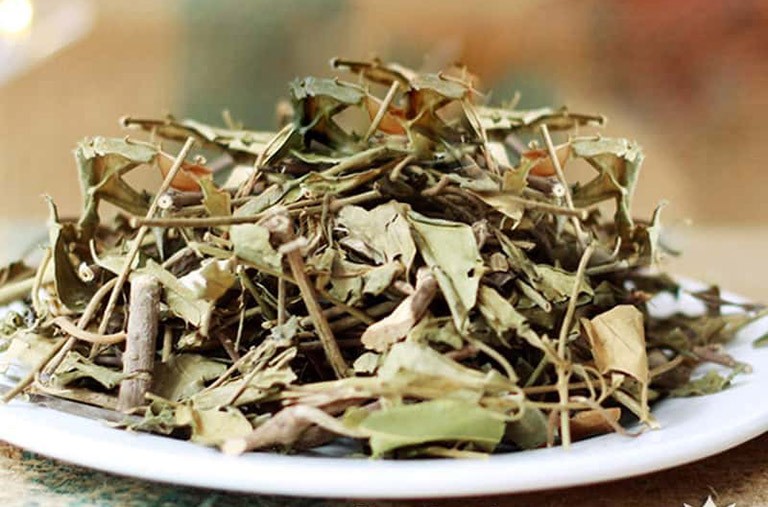 Cây đại bi - Vị thuốc đa công dụng Cây đại bi - Vị thuốc đa công dụng