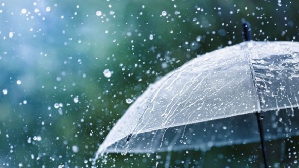 Dự báo thời tiết ngày 8/10/2025: Mưa rào và dông rải rác