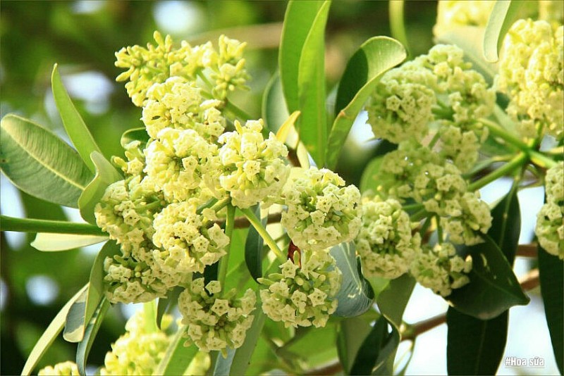 Dự báo thời tiết đêm nay và ngày mai 9/10: Hà Nội và các khu vực trên cả nước