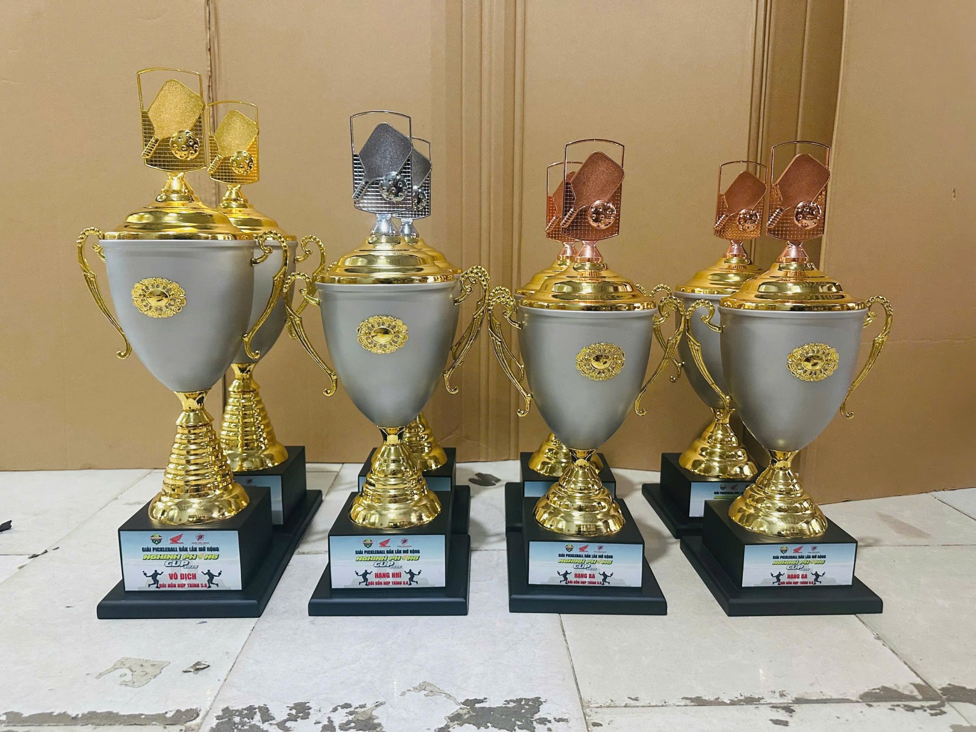 Đắk Lắk: Sắp diễn ra Giải Pickleball tranh cúp Nghinh Phong lần thứ 3