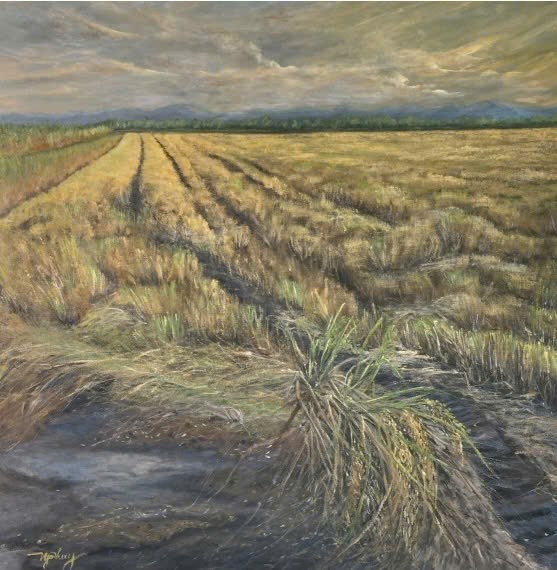 “Về miền Trung” – Khi bác sĩ Ngô Thị Thanh Thủy chạm đến giấc mơ hội họa