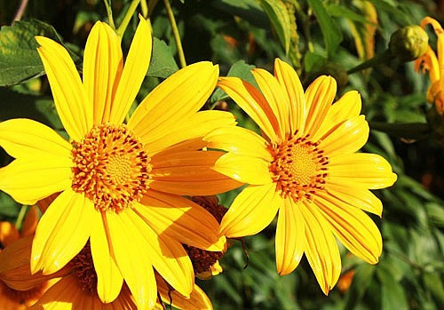 Dự báo thời tiết đêm nay và ngày mai 11/10: Hà Nội và các khu vực trên cả nước