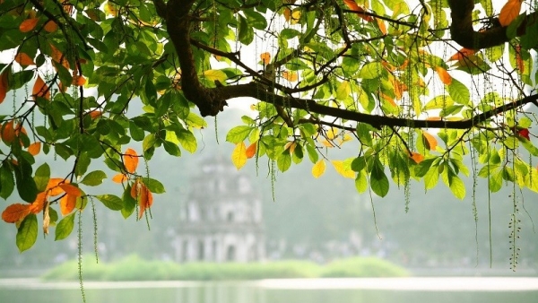 Dự báo thời tiết ngày 12/10/2025: Mưa rào và dông rải rác