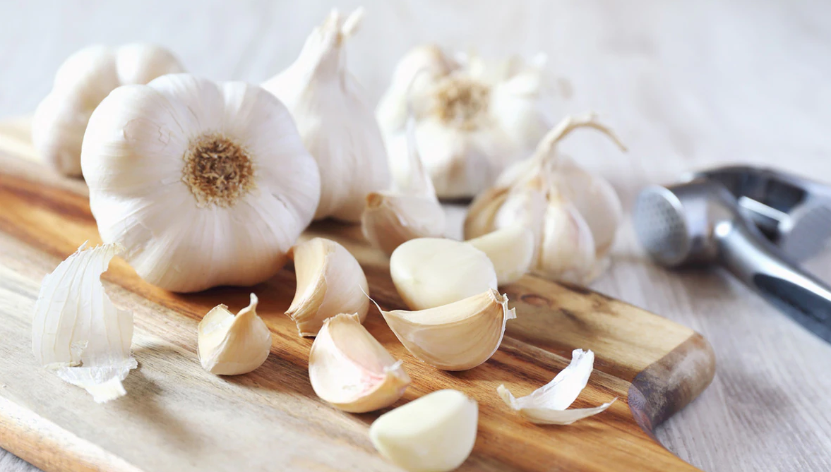 Tỏi - "Lá chắn" phòng chống ung thư Tỏi - "Lá chắn" phòng chống ung thư