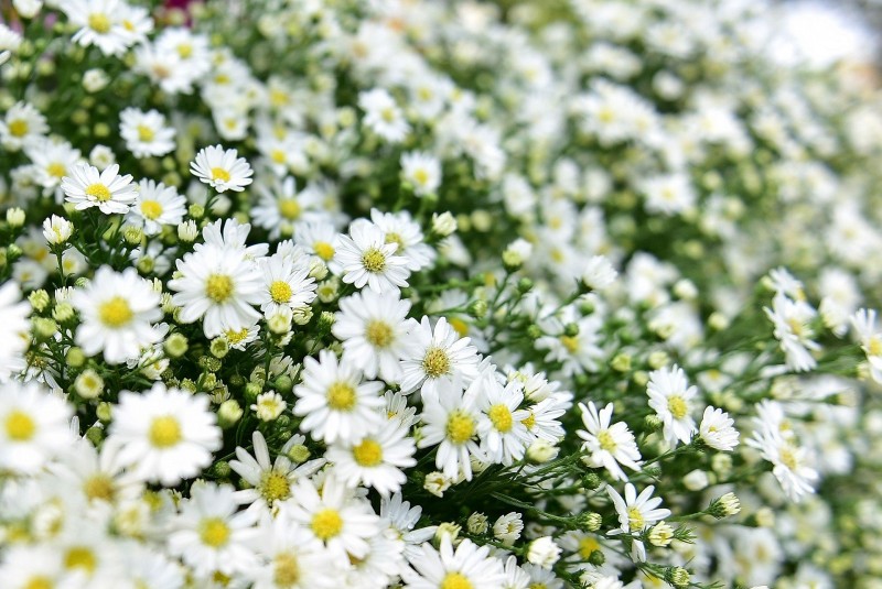 Dự báo thời tiết đêm nay và ngày mai 13/10: Hà Nội và các khu vực trên cả nước