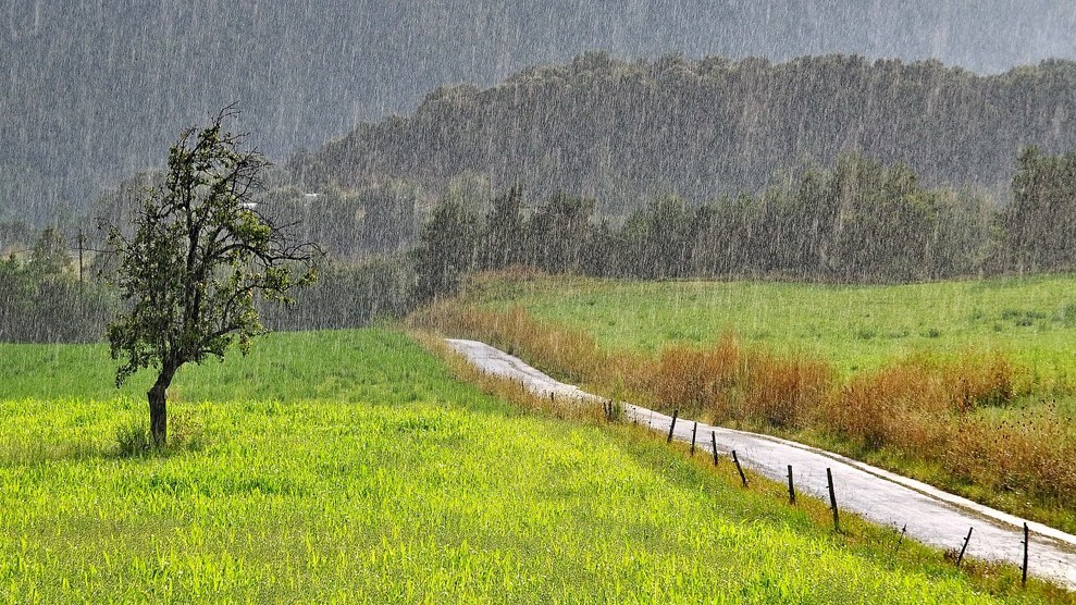 Dự báo thời tiết ngày 15/10/2025: Mưa dông diện rộng