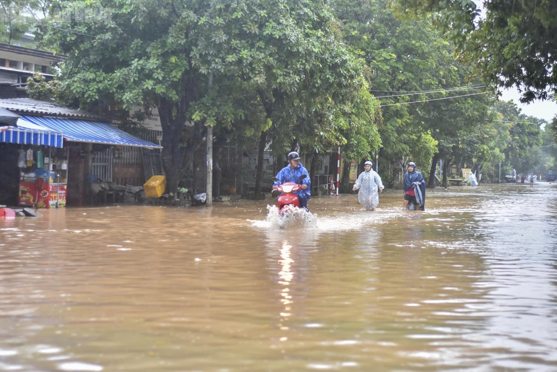 Những bệnh về da thường gặp sau mưa lũ Những bệnh về da thường gặp sau mưa lũ