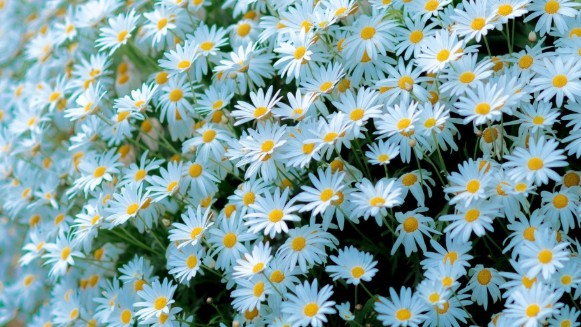 Dự báo thời tiết ngày 16/10/2025: Bắc Bộ có mưa rào và dông