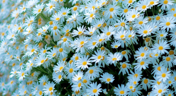 Dự báo thời tiết đêm nay và ngày mai 16/10: Hà Nội và các khu vực trên cả nước Dự báo thời tiết đêm nay và ngày mai 16/10: Hà Nội và các khu vực trên cả nước