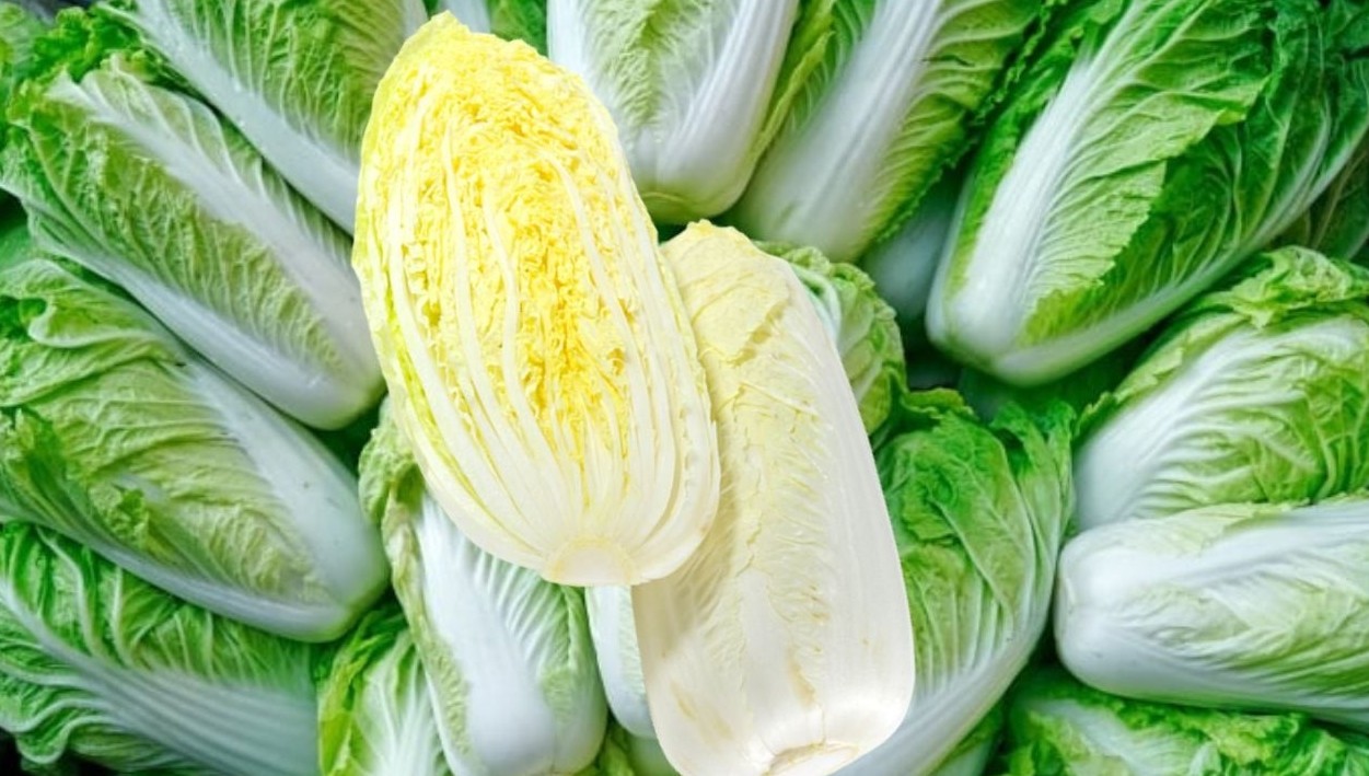 Cải thảo - Thực phẩm “vàng” giúp tăng sức đề kháng, ngăn ngừa ung thư