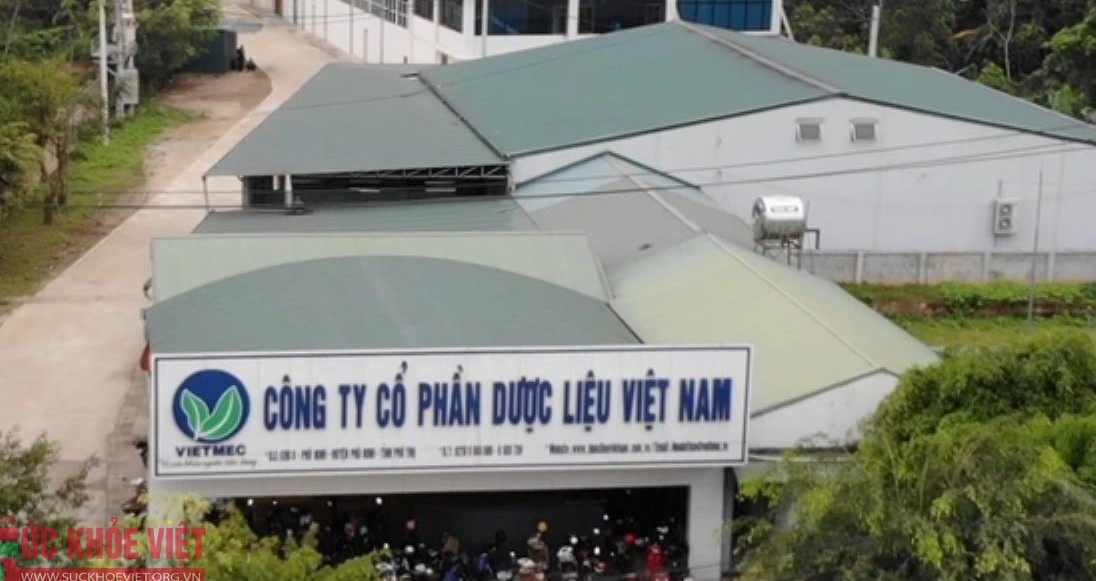 Thu hồi toàn quốc lô vị thuốc cổ truyền Hà thủ ô đỏ chế của công ty Cổ phần Dược liệu Việt Nam do vi phạm chất lượng mức độ 2