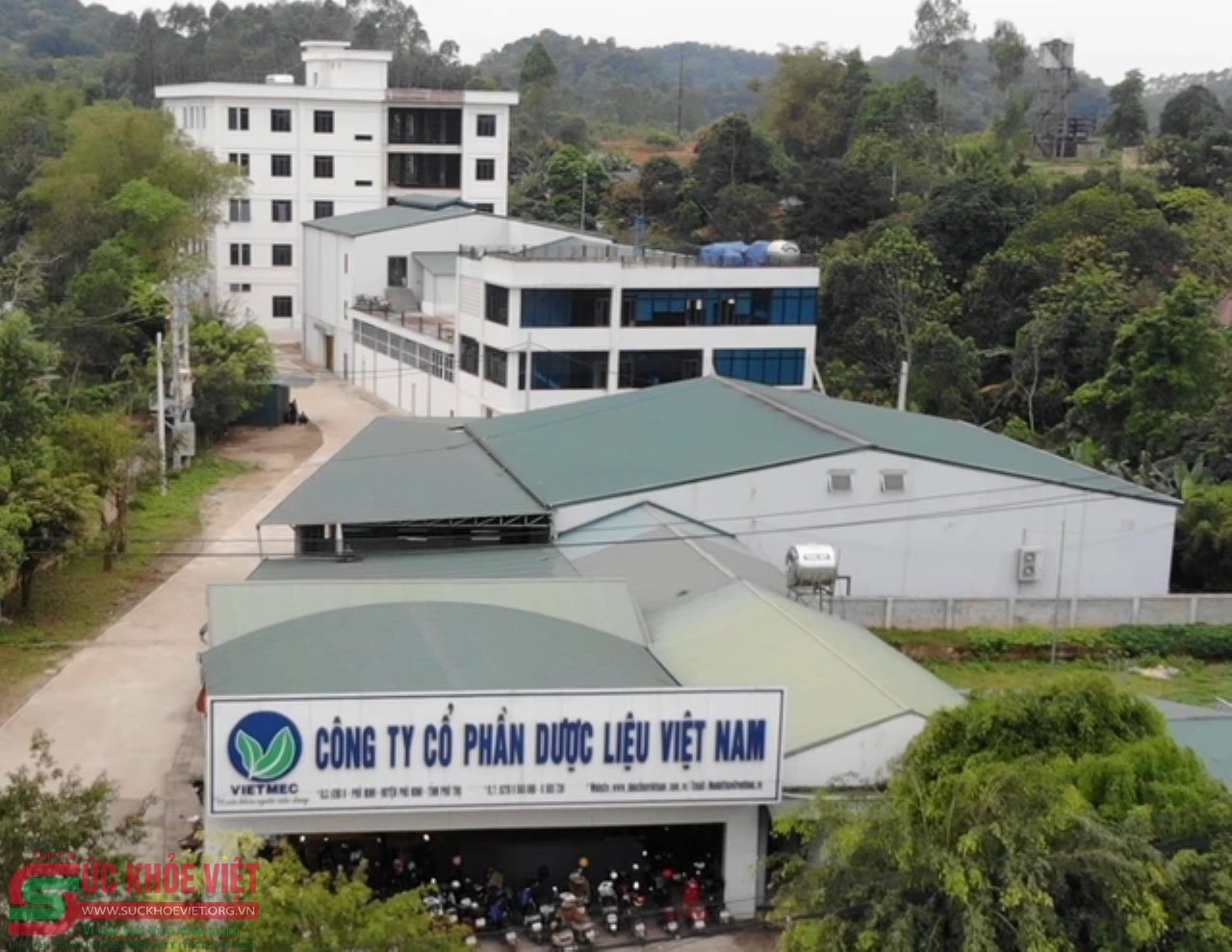 Thu hồi toàn quốc lô vị thuốc cổ truyền Hà thủ ô đỏ chế của công ty Cổ phần Dược liệu Việt Nam do vi phạm chất lượng mức độ 2