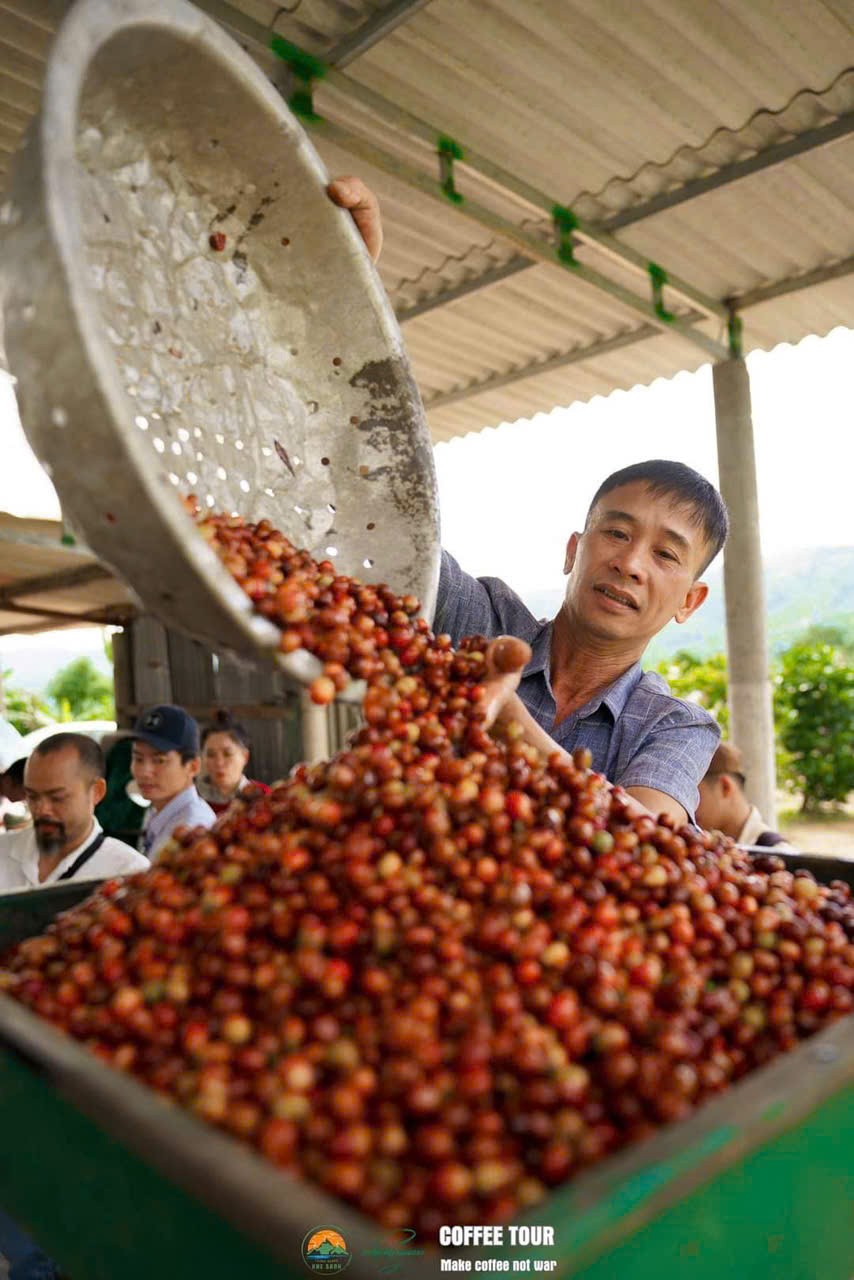 Bốn Phương Coffee – Khi tinh túy đất lành hóa thành hương vị sống khỏe