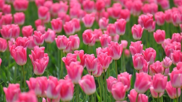 Dự báo thời tiết ngày 18/10/2025: Trời nắng, gió nhẹ