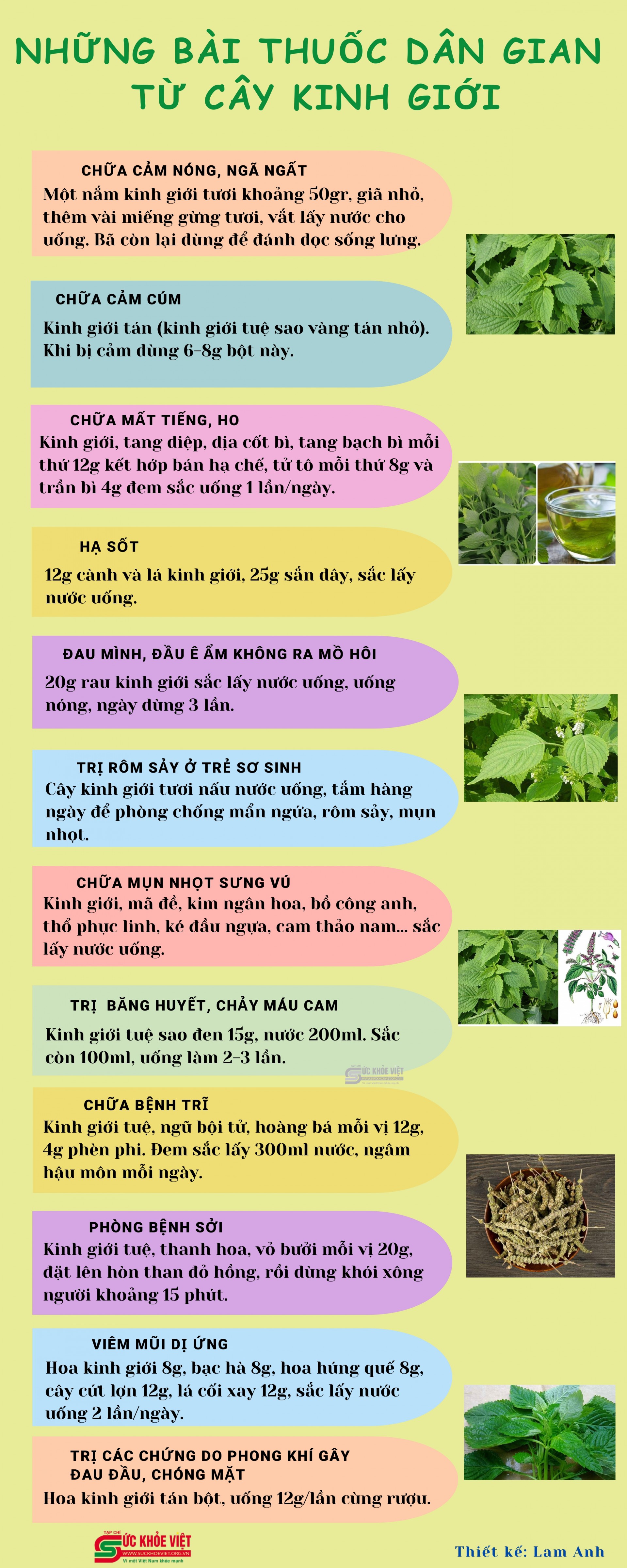 Những bài thuốc dân gian từ cây kinh giới