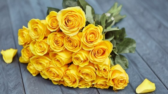 Dự báo thời tiết ngày 19/10/2025: Bắc Bộ có mưa rào và dông rải rác