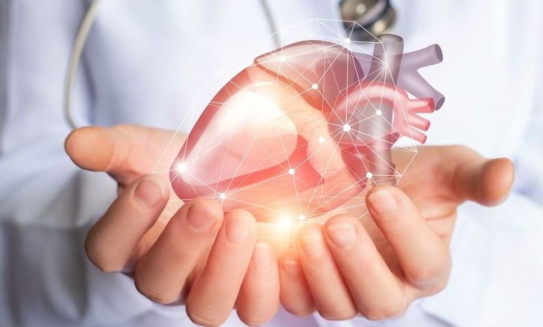 Phát triển chuyên ngành tim mạch Việt Nam hiện đại, nhân văn