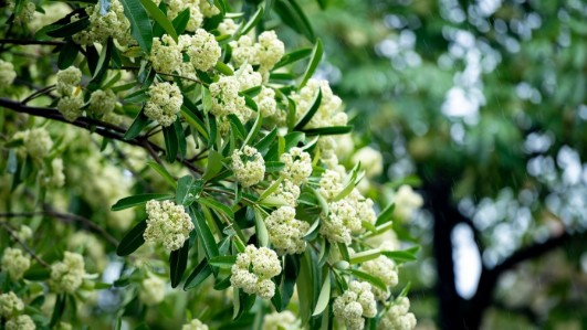 Dự báo thời tiết ngày 21/10/2025: Bắc Bộ ngày nắng, gió nhẹ