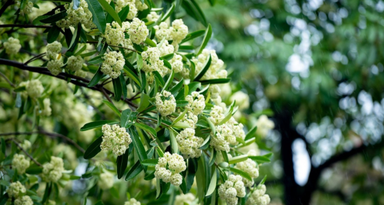 Dự báo thời tiết đêm nay và ngày mai 21/10: Hà Nội và các khu vực trên cả nước Dự báo thời tiết đêm nay và ngày mai 21/10: Hà Nội và các khu vực trên cả nước