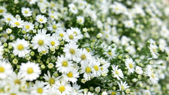 Dự báo thời tiết ngày 22/10/2025: Nam và Trung Bộ có mưa rào rải rác