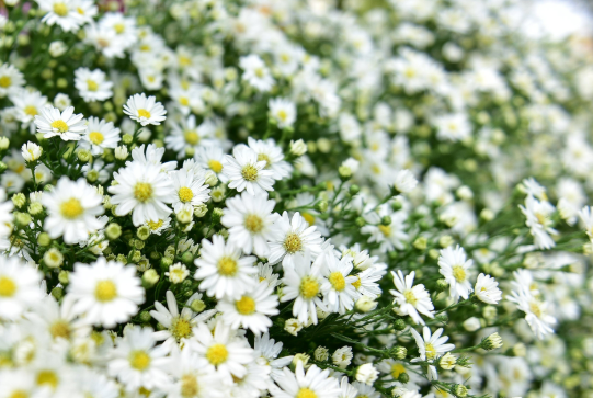 Dự báo thời tiết đêm nay và ngày mai 22/10: Hà Nội và các khu vực trên cả nước Dự báo thời tiết đêm nay và ngày mai 22/10: Hà Nội và các khu vực trên cả nước