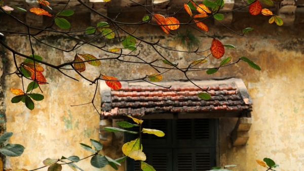 Dự báo thời tiết ngày 23/10/2025: Bắc Bộ đêm và sáng trời lạnh