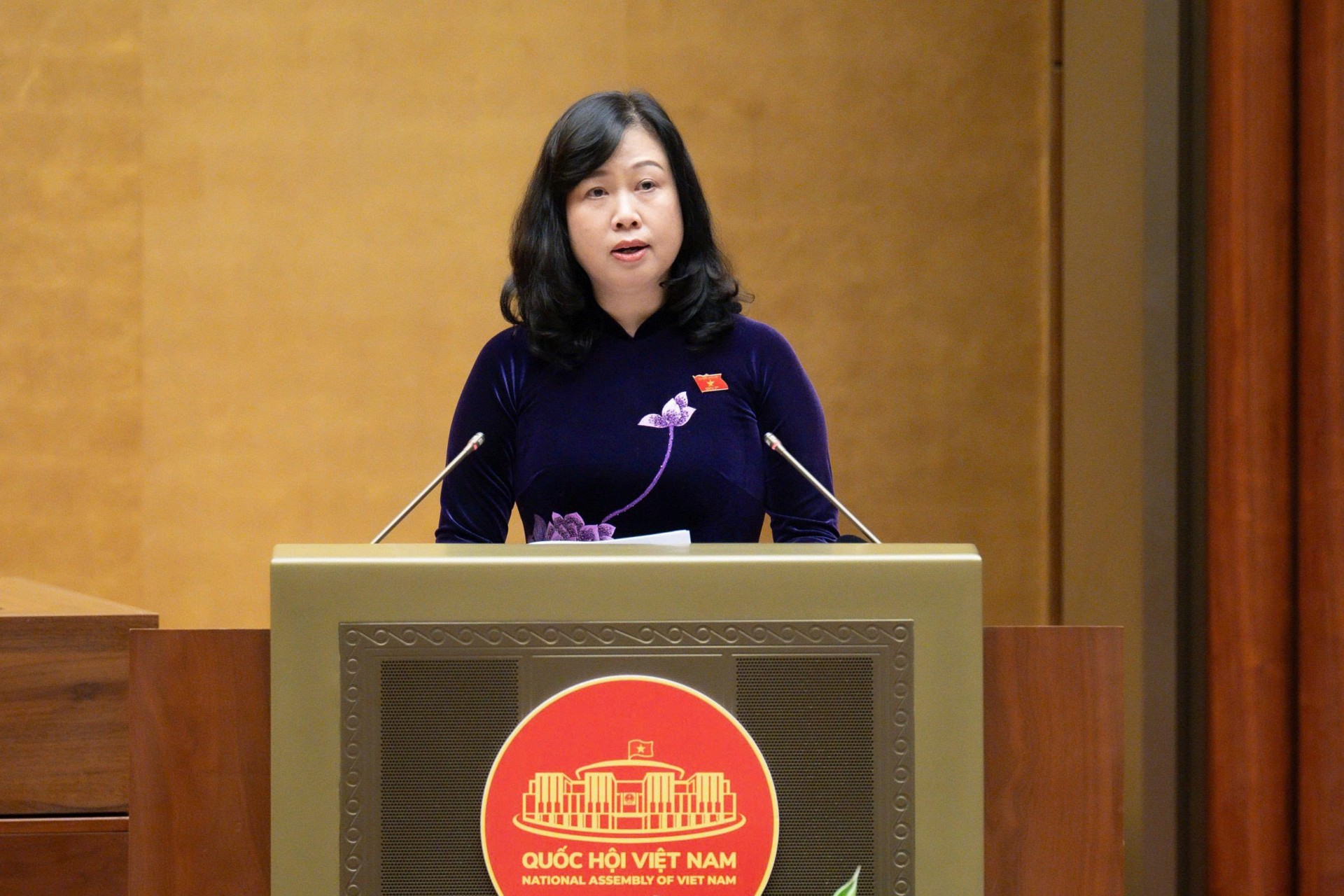 Bộ trưởng Bộ Y tế Đào Hồng Lan trình bày Tờ trình dự án Luật Phòng bệnh