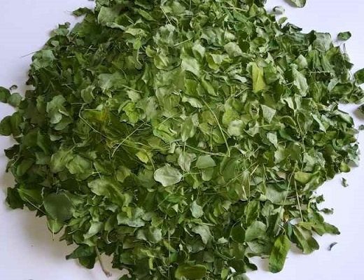 Trà chùm ngây đã được rất nhiều người sử dụng trên khắp thế giới bởi chúng có rất nhiều công dụng quy giá, lá chùm ngây được xuất khẩu sang nhiều nước như nhật, hàn quốc...