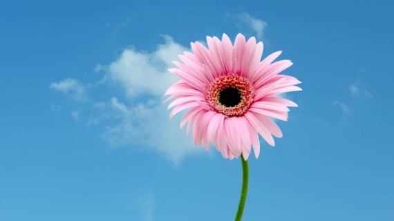 Dự báo thời tiết ngày 24/10/2025: Bắc Bộ nhiều mây, có mưa vài nơi