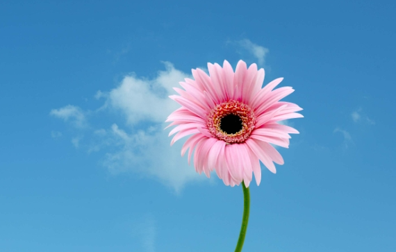 Dự báo thời tiết ngày 24/10/2025: Bắc Bộ sáng ngày trời lạnh. Dự báo thời tiết ngày 24/10/2025: Bắc Bộ sáng ngày trời lạnh.