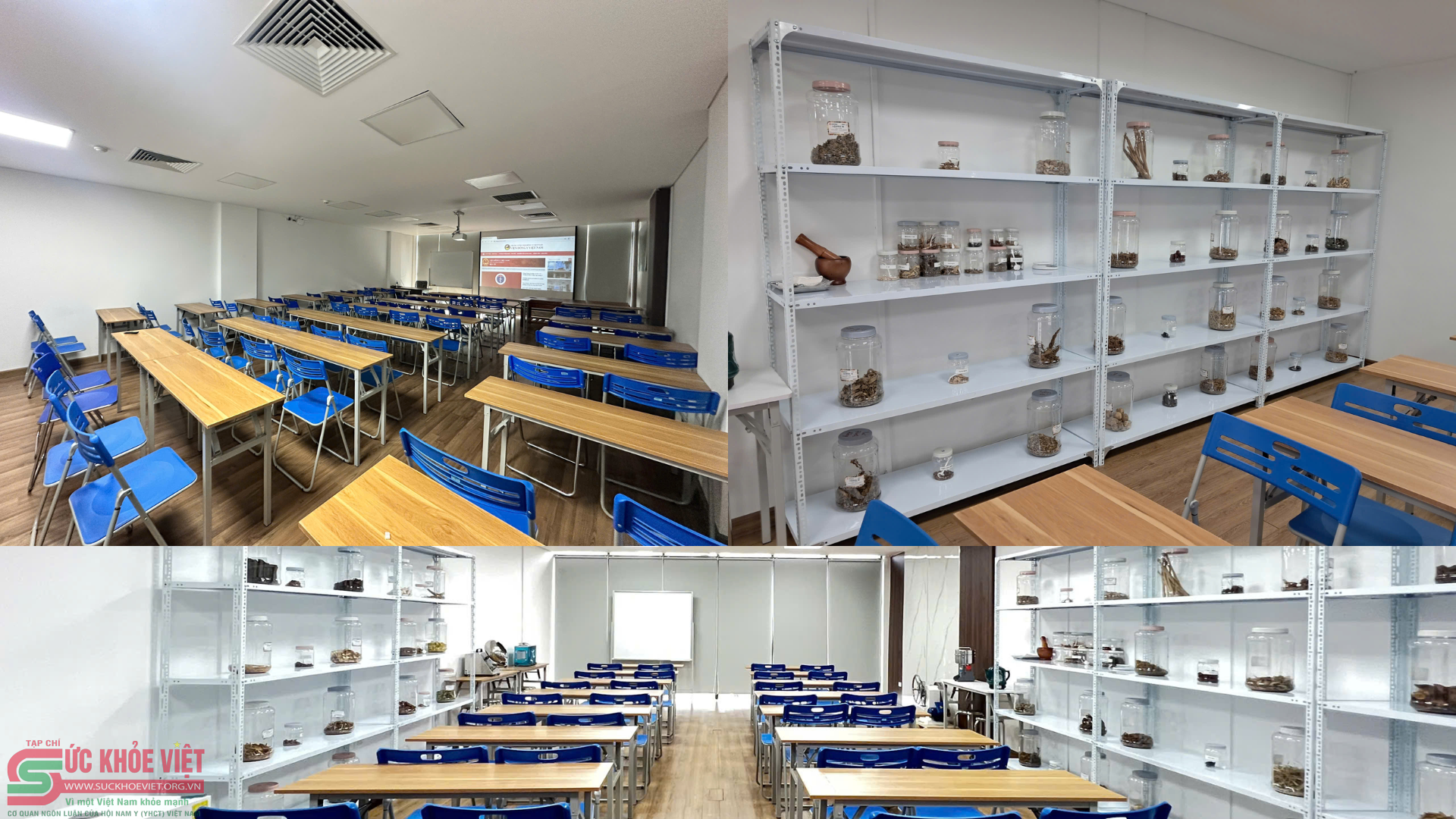 Viện Đông Y Việt Nam được Bộ Y tế đồng thuận tổ chức đào tạo lên tục theo quy định Viện Đông Y Việt Nam được Bộ Y tế đồng thuận tổ chức đào tạo lên tục theo quy định