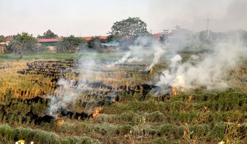 Xử lý hoạt động đốt phế phụ phẩm nông nghiệp ngoài trời gây ô nhiễm không khí