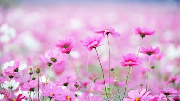 Dự báo thời tiết ngày 25/10/2025: Bắc Bộ gió đông bắc cấp 2-3, trời lạnh