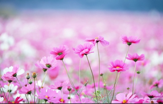 Dự báo thời tiết đêm nay và ngày mai 25/10: Hà Nội và các khu vực trên cả nước Dự báo thời tiết đêm nay và ngày mai 25/10: Hà Nội và các khu vực trên cả nước