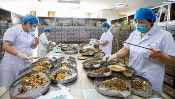 Chức năng, nhiệm vụ của Khoa Y học cổ truyền trong cơ sở khám bệnh, chữa bệnh