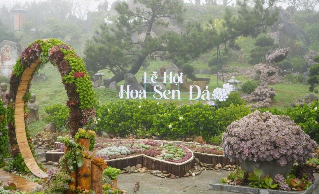 Không gian Lễ hội Hoa Sen Đá