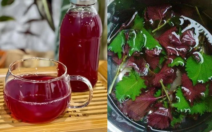 Các bài thuốc nam hỗ trợ điều trị bệnh gout hiệu quả Các bài thuốc nam hỗ trợ điều trị bệnh gout hiệu quả